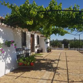 Vivienda Turistica de Alojamiento Rural El Jaral, hotel in Alcaracejos