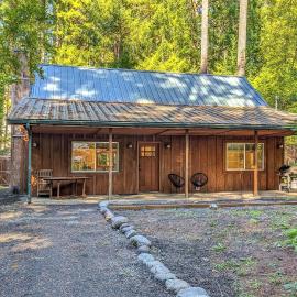Alpine Drift | Hot Tub, Pet Friendly, Wifi