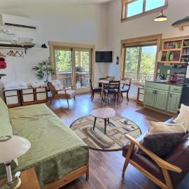 Little Big Fish | Wifi, BBQ, AC ,Rainier View, Hotel in Packwood