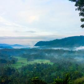 Dew Drops Nature Villa