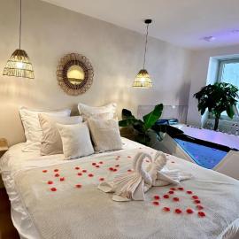 L Anaya Nantes Spa et Sauna, hotelli kohteessa Rezé