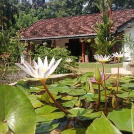 Minu Homestay & Villa