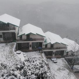 Woodsmoke Retreat, hotel in Shimla