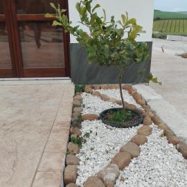 Segesta Antichi Sapori, hotel in Calatafimi