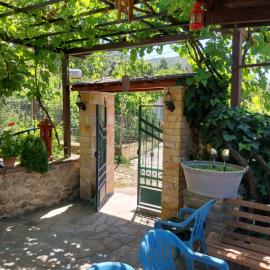 Guest House Guri