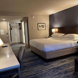Skyline Hotel Detroit Airport, SureStay Collection by Best Western โรงแรมในรอมิวลัส