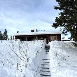 Trysilfjellet Nord 509