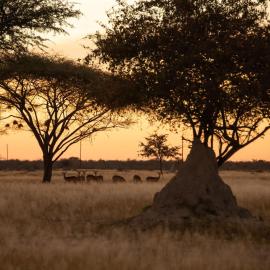Fiume Lodge CC – hotel w mieście Groutfontein