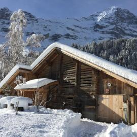 Eigerhome - The Cottage mit Wellness - GRIWA RENT AG, hótel í Grindelwald