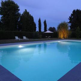 Le Rondini