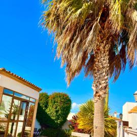 Chalet Duna, hotel v destinaci El Palmar