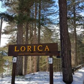 Residence Antea, hotel in Lorica