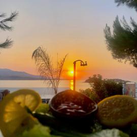 Hotel Villa Adrian
