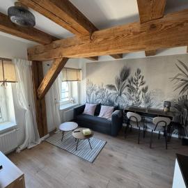 Apartament Centro 9