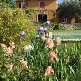 Grambois में, होटल Provence Luberon