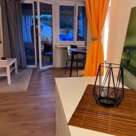 Studio unweit von Zürich - FHOWET002