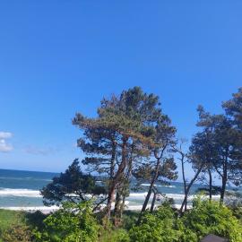APARTAMENT BALTICHOFF FUN with Sea View, Basen, Spa, Gym, Sauna, Hala sportowa z kortem tenisowym