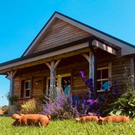 The Little House, Hotel in Ballynacarrow