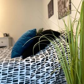 Studio Chaleureux Tout équipé - Wifi - Parking gratuit - Proche de la Nature, hôtel à Wissembourg
