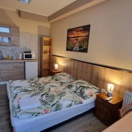 Apartmán 1 Hradná 9, hotel in Nové Zámky