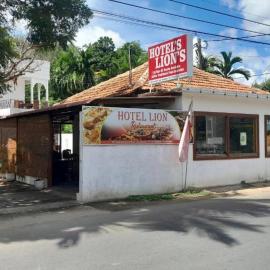Lion's Hotel, hotel v mestu Alaveddi