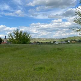 Weinbergblick Laucha Unstrut