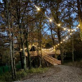 La Cabane perchée du Grand Chêne