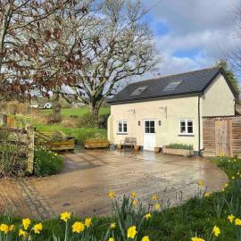 Characterful, Cosy Dartmoor Cottage