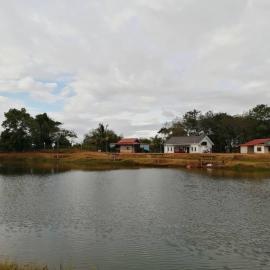 Homestay Kolam 4K