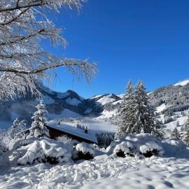 Ferienhaus Relax