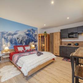 Le Montblanc spa with Clim, hotel u gradu 'Roanne'