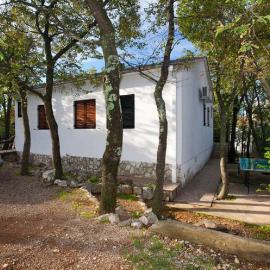 Apartments Miro