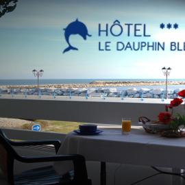 Hôtel Le Dauphin Bleu, hotel u gradu Sen Mari de la Mer