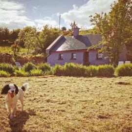 Mountain Cottage with Barn Sauna, Clonbur, Galway, hotel v destinácii Clonbur