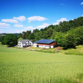 Schrauts Unwesen