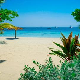 AYURVEDA RESORT, Hotel in Negril