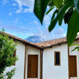Alpeta Agrotourism & Winery - Roshnik , Berat