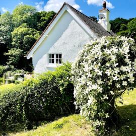 Pretty Dartmoor Cottage in woodland-setting, Hotel in Dunsford