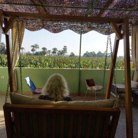 Luxor Experience Guest House