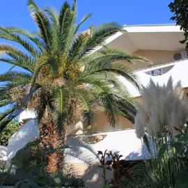 Apartments Ante