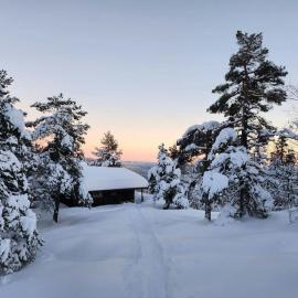 Cozy Private Holiday Home On Lifjell, hotel em Bo