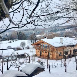 B&B Profumi nel bosco