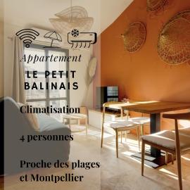 Le Petit Balinais - Standing - Wifi