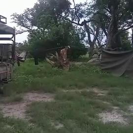 Savuti Mobile Camping Safaris, khách sạn ở Kasane