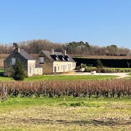 Gîte viticole tout inclus, jardin 3000m², vélos offerts, proche Saumur-Chinon-Langeais - FR-1-381-606