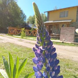 Alojamiento Küme Kiyen – hotel w mieście Aluminé