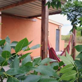 Casa de descanso, bienestar y naturaleza, hotel em Aiguá