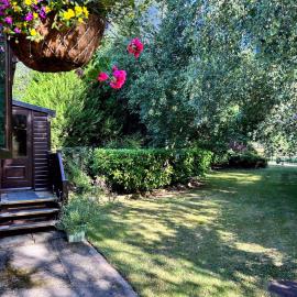 Wigeon Secluded Rustic cabin