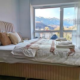 Tutu Studio Sinaia cu vedere panoramica Early Checkin