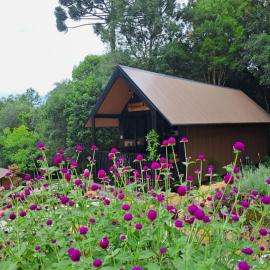 Cabana do Mato Waldhütte, hotel in Treze Tílias